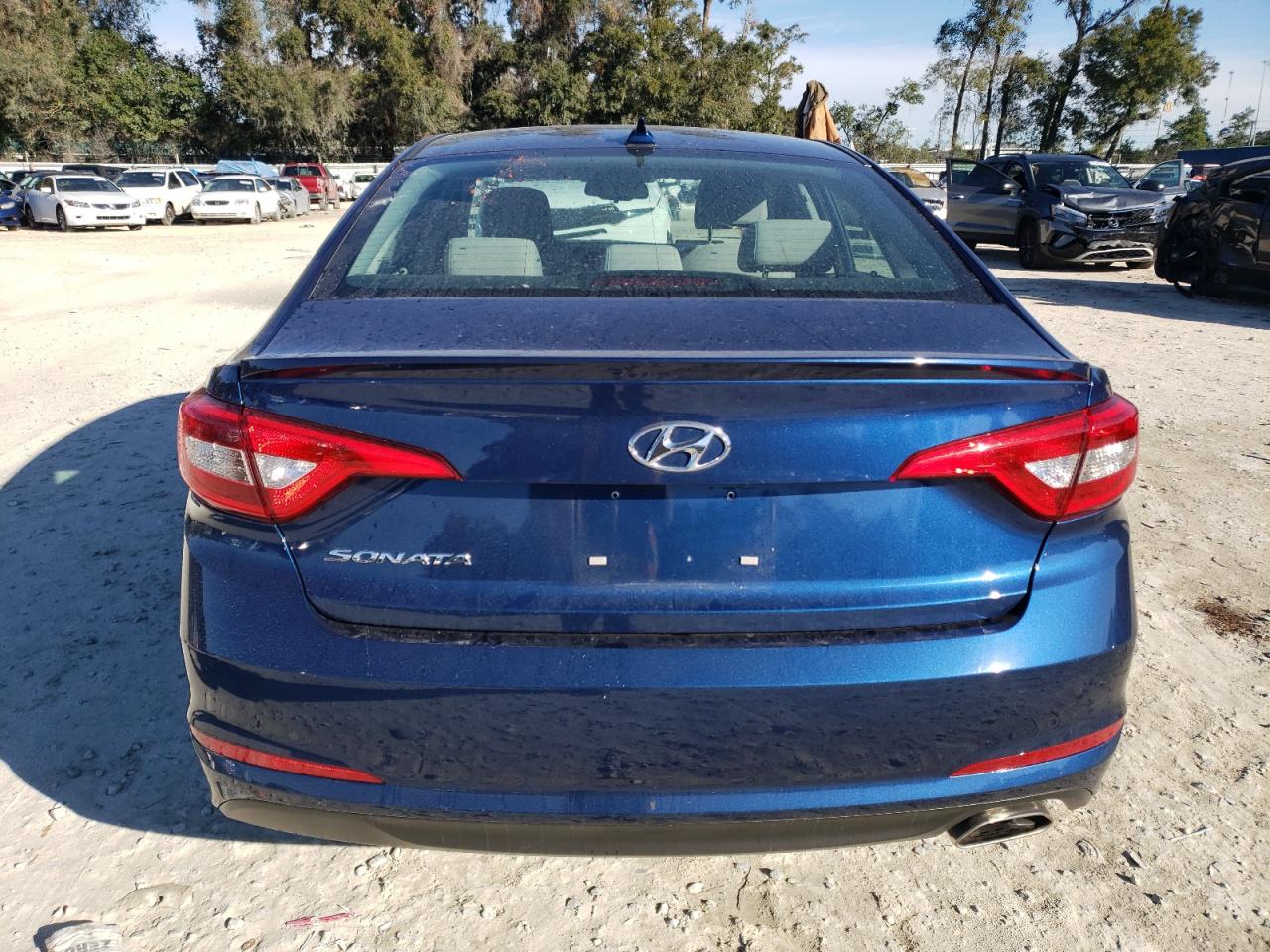 VIN 5NPE24AF7GH300156 2016 HYUNDAI SONATA no.6