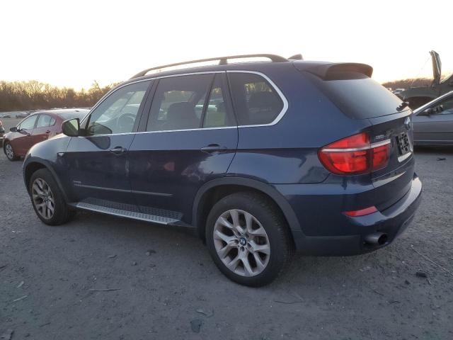 Паркетники BMW X5 2013 Синій