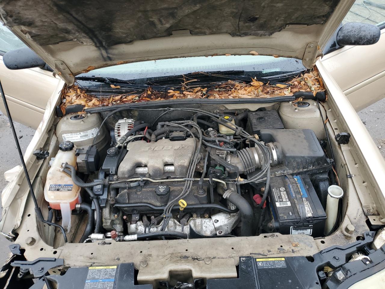 2002 Chevrolet Malibu - Image 11