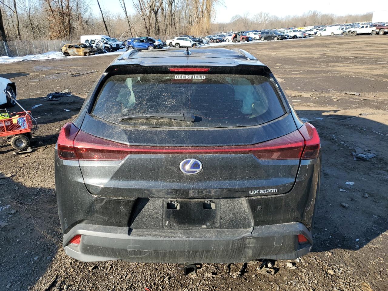 2021 Lexus UX - Image 6