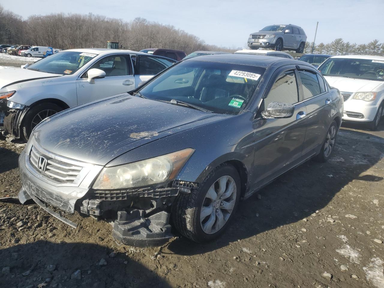 2008 Honda Accord Exl იყიდება Windsor-ში, NJ - Front End