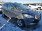 2013 Ford Escape Se en Venta en Dyer, IN - Minor Dent/Scratches