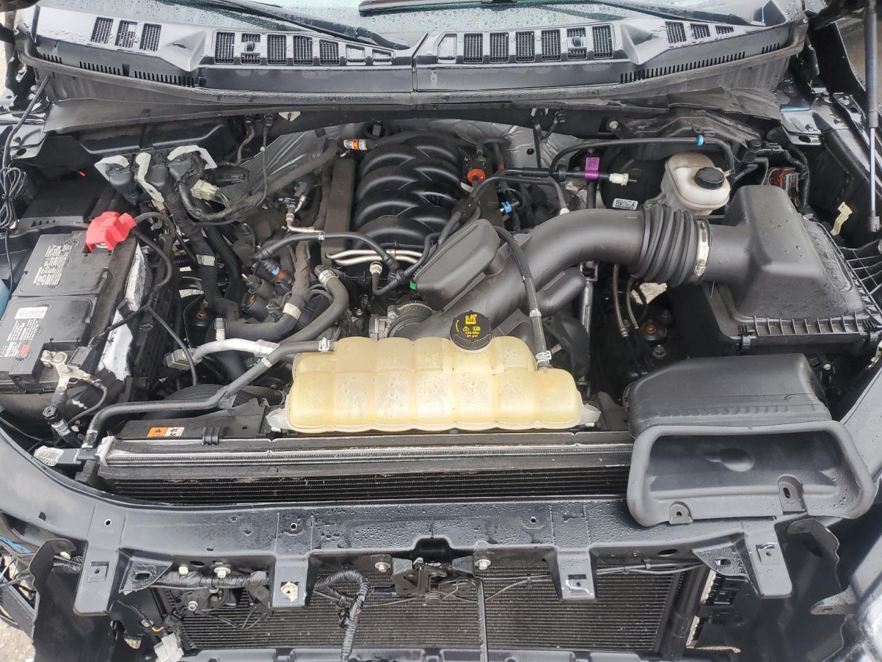 1FTEW1E50KFB60135 FORD F-150 2019