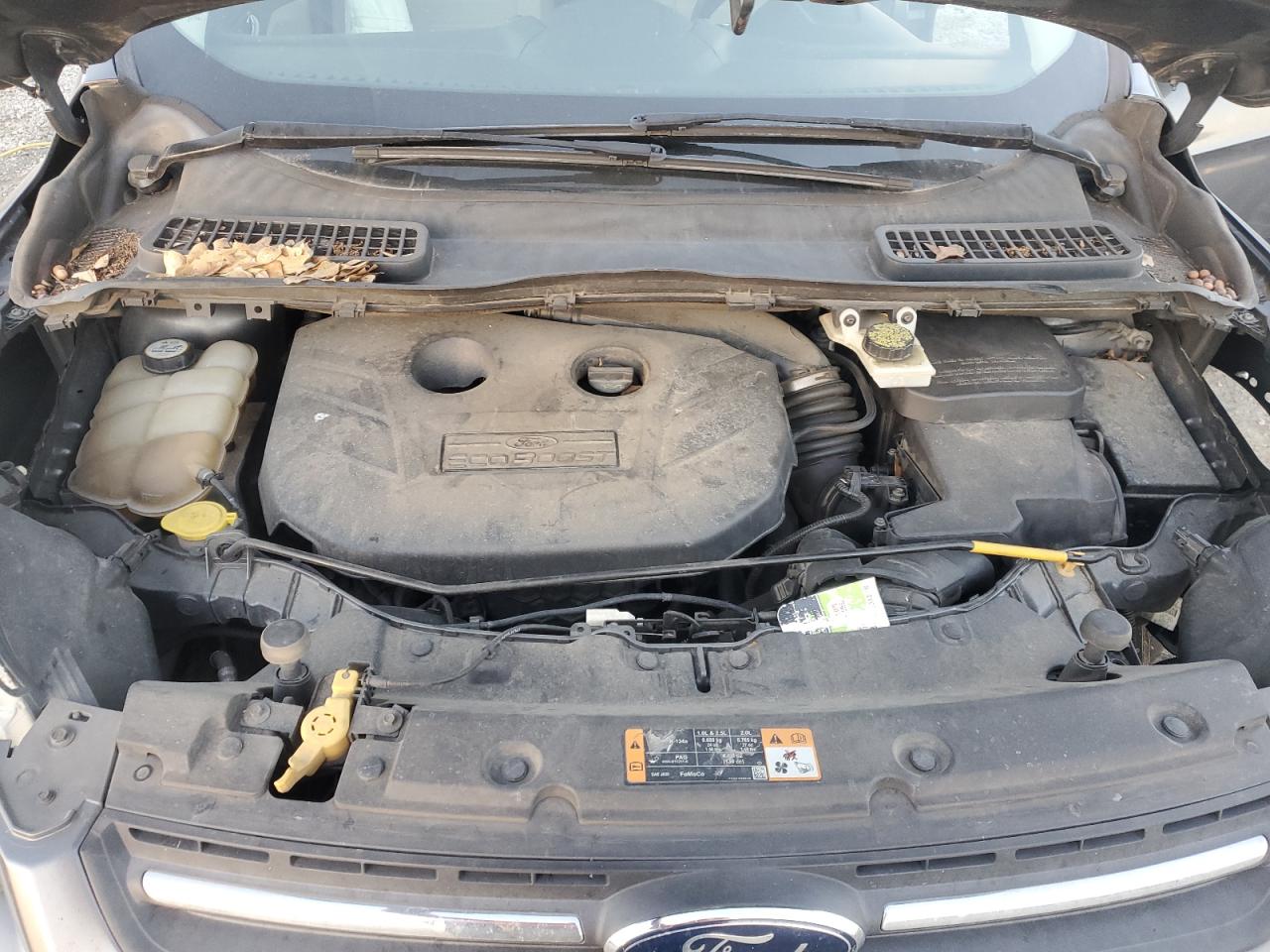 2013 Ford Escape - Image 12