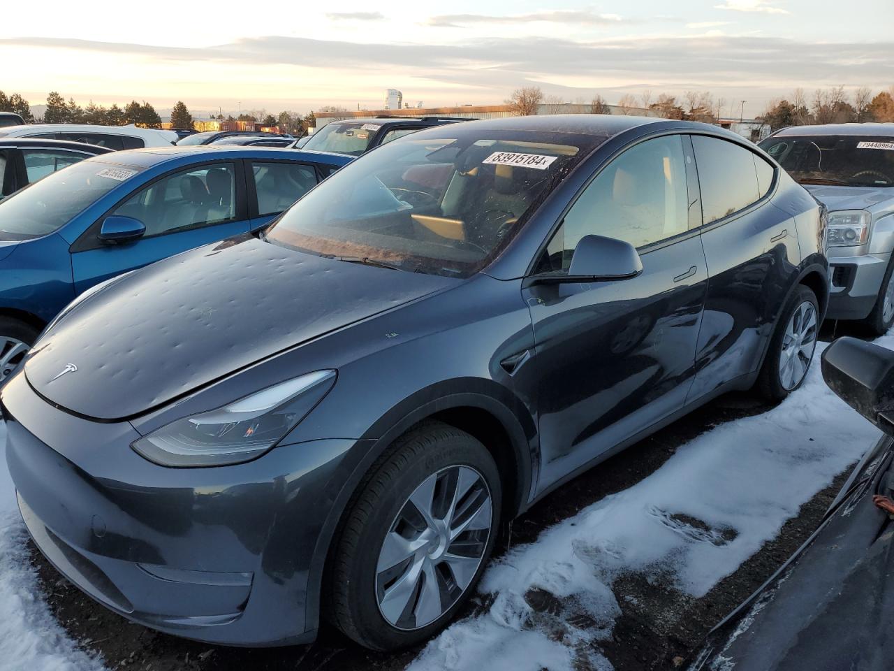 2023 Tesla Model Y  на продаже в Denver, CO - Hail