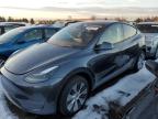 2023 Tesla Model Y  на продаже в Denver, CO - Hail