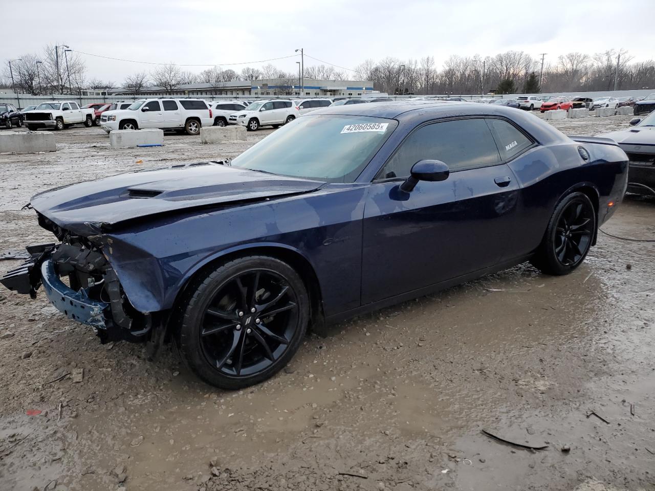 2016 Dodge Challenger Sxt продається в Louisville, KY - Front End