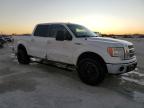 2010 Ford F150 Supercrew за продажба в Arcadia, FL - Side