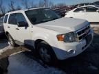 2008 Ford Escape Xlt for Sale in Cahokia Heights, IL - Side