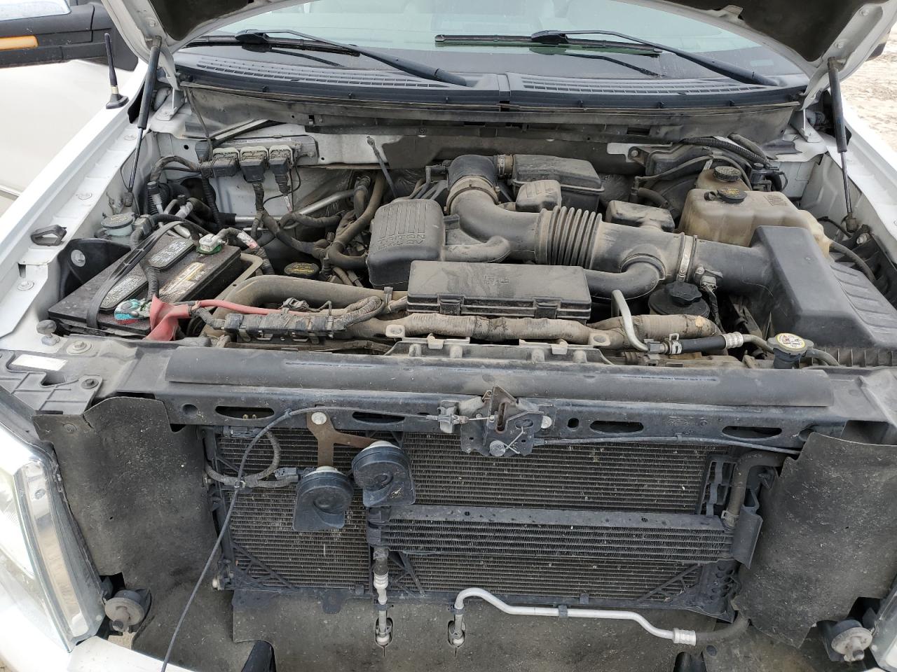 2010 Ford F-150 - Image 11