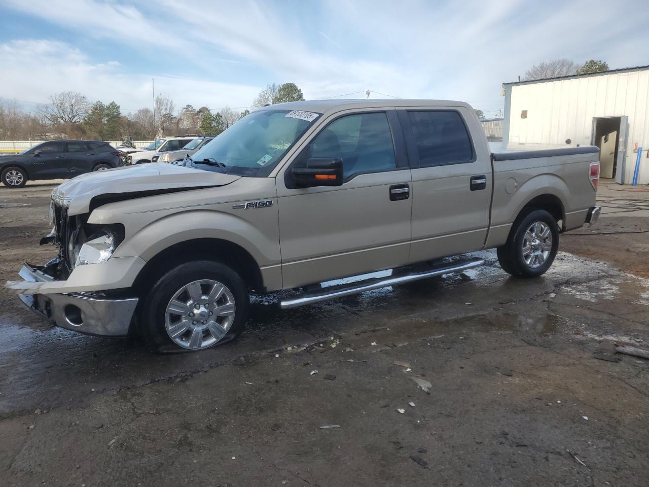 2010 Ford F-150 - Image 1