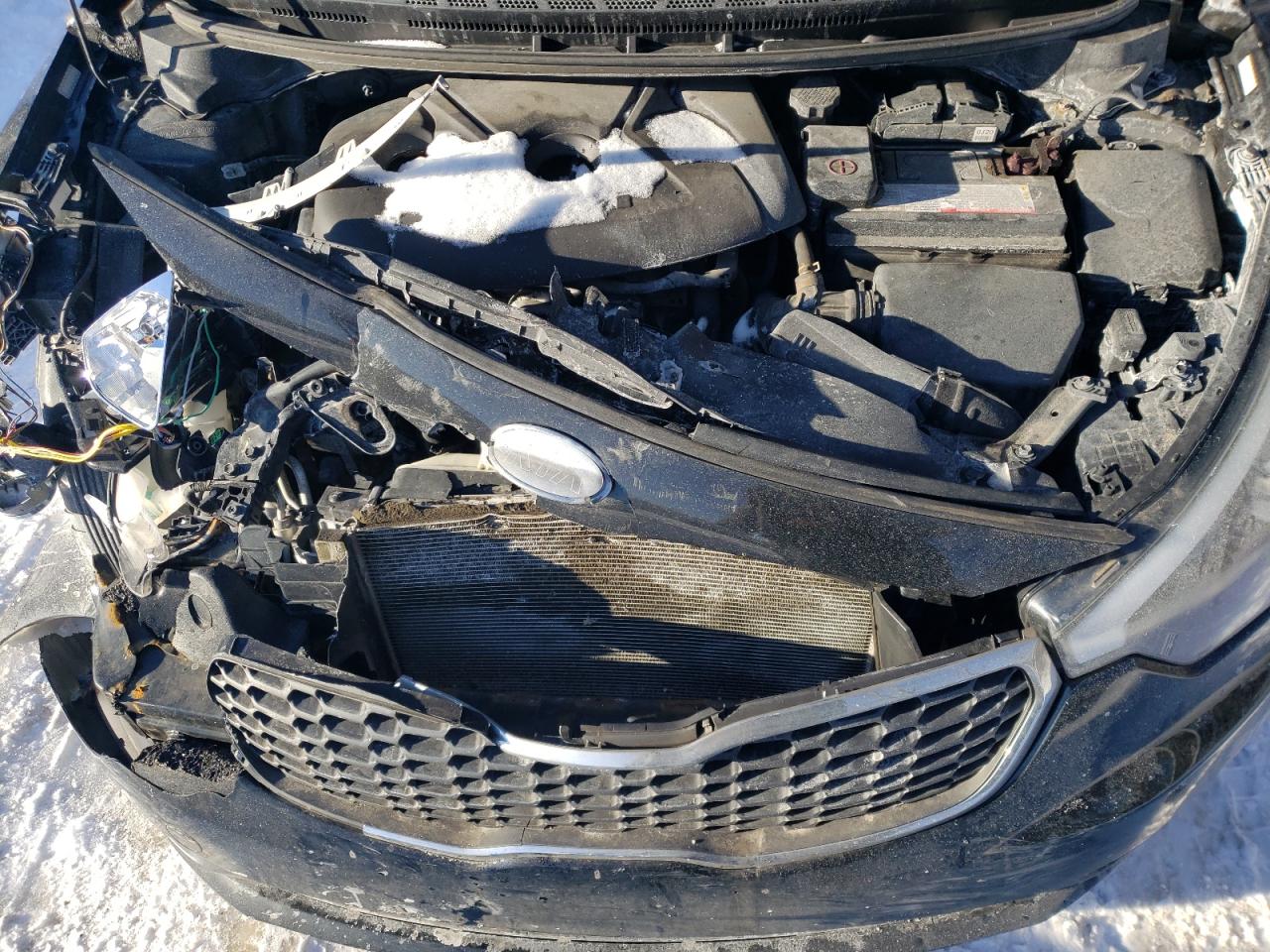 2016 Kia Forte - Image 13