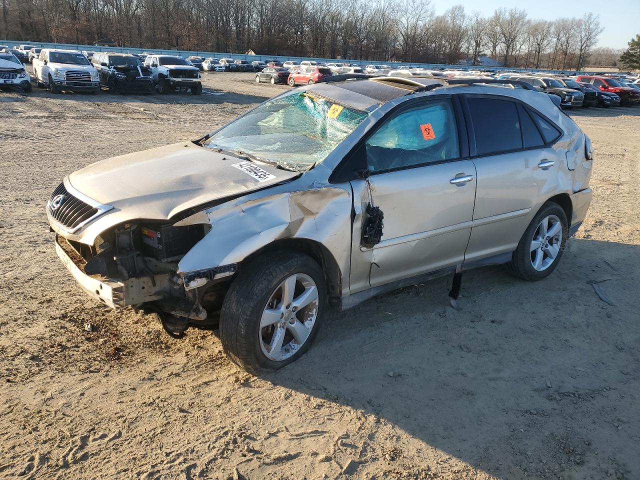 2008 Lexus RX - Image 1