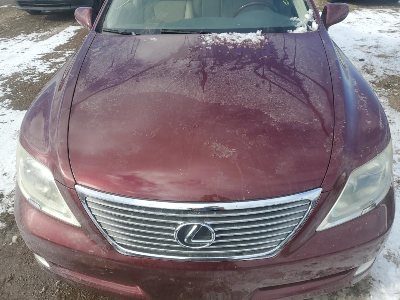 2008 Lexus Ls 460 VIN: JTHBL46F685053981 Lot: 87058874