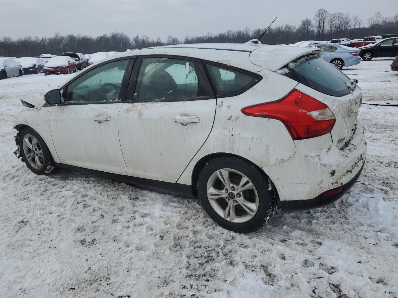 2014 Ford Focus - Image 2