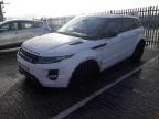 2013 LAND ROVER RANGE ROVE for sale at Copart CHESTER