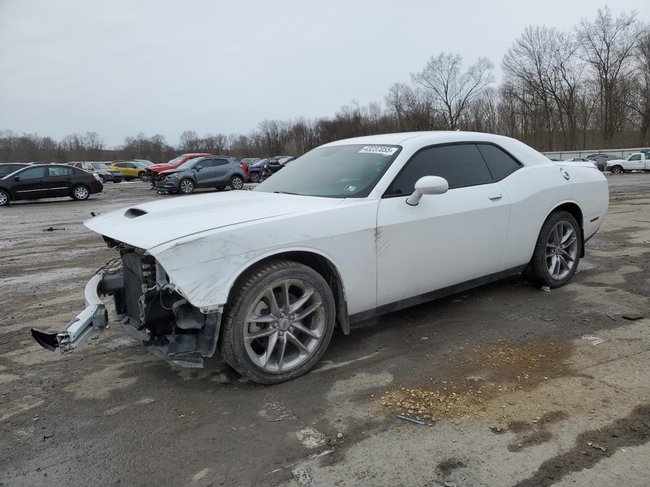 2021 Dodge Challenger - Image 1