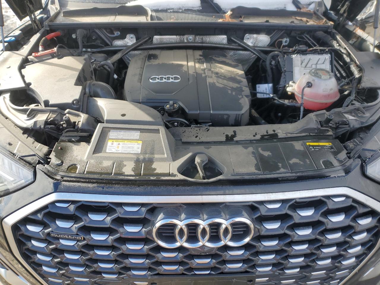 2021 Audi Q5 - Image 12