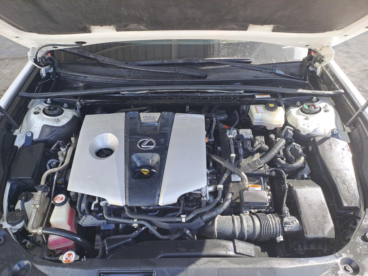 JTHB21B13K2048631 - 2019 Lexus ES 300 - #43291965