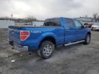 2010 Ford F150 Supercrew продається в Albany, NY - Rear End