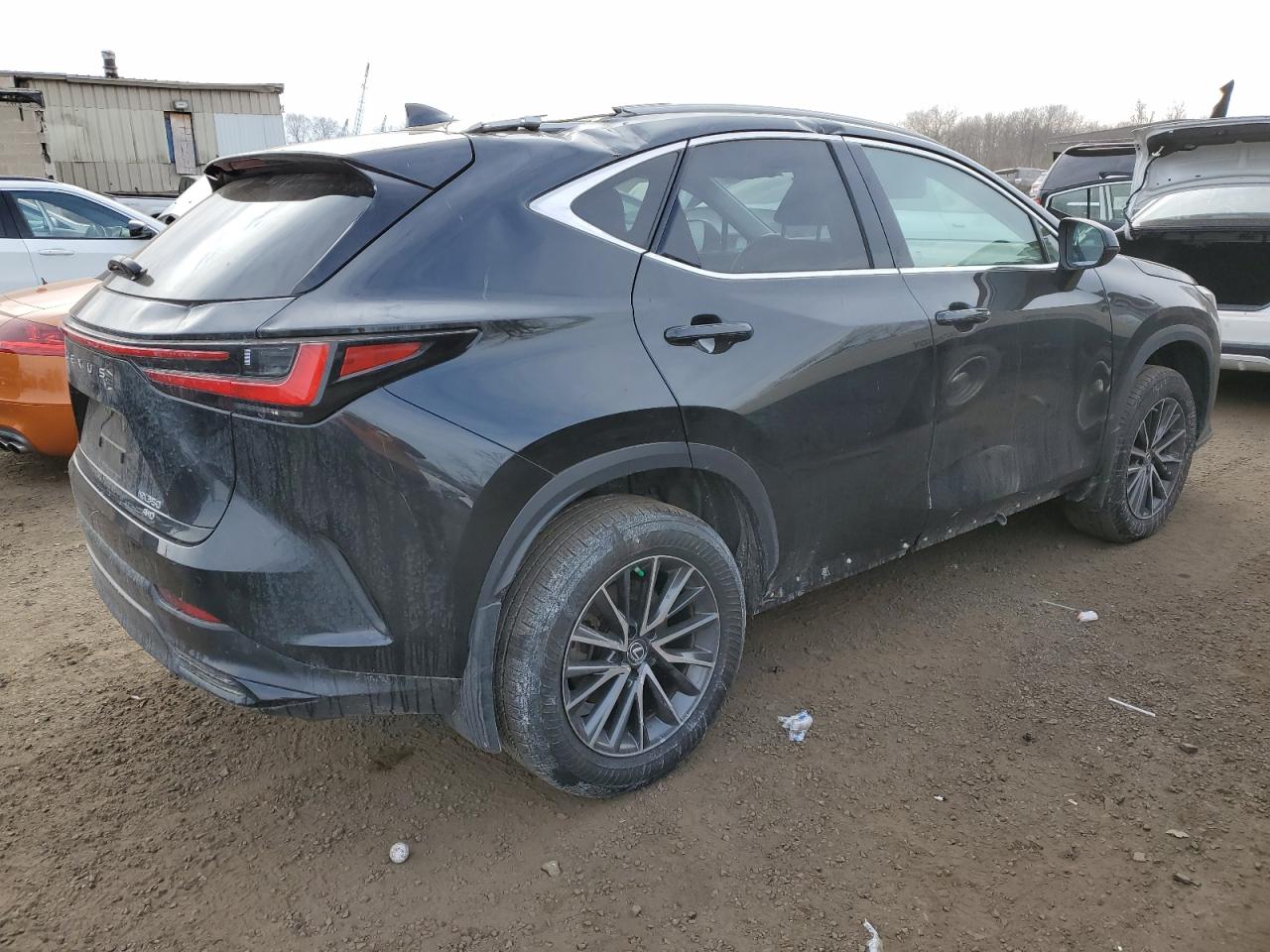 2022 Lexus NX - Image 3
