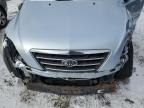 2008 Kia Sorento Ex zu verkaufen in Albany, NY - Front End