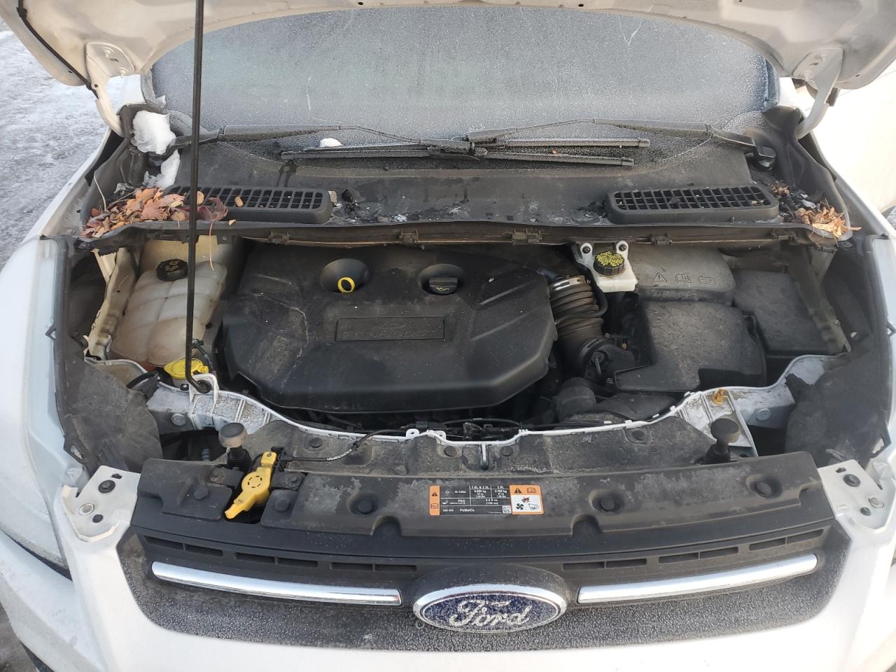 2016 Ford Escape - Image 12