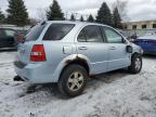 2008 Kia Sorento Ex zu verkaufen in Albany, NY - Front End