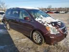 2010 Honda Odyssey Exl na sprzedaż w Baltimore, MD - Rear End