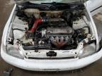Ham Lake, MN에서 판매 중인 1995 Honda Civic Dx - Front End
