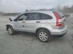 2011 Honda Cr-V Se de vânzare în Albany, NY - Front End