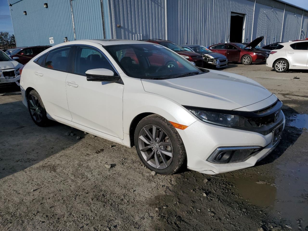 2019 Honda Civic - Image 4
