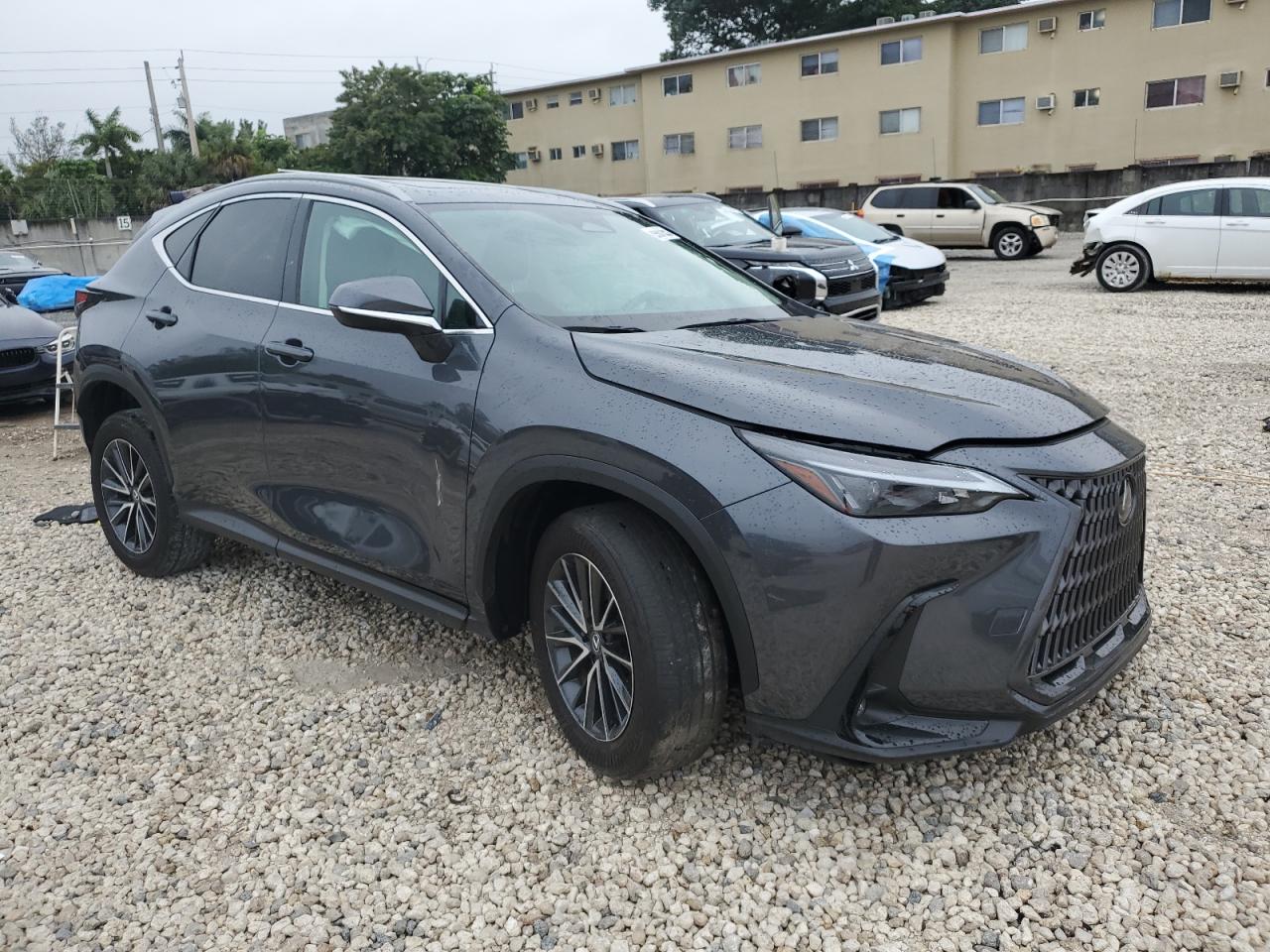 2024 Lexus NX - Image 4