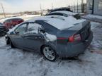 2008 Acura Tl  за продажба в Colorado Springs, CO - Front End