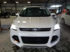 2014 Ford Escape Titanium en Venta en Jacksonville, FL - Mechanical