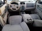 2012 Ford Escape Xlt for Sale in Florence, MS - Front End