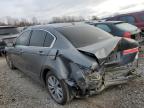 2011 Honda Accord Exl за продажба в Elgin, IL - Rear End