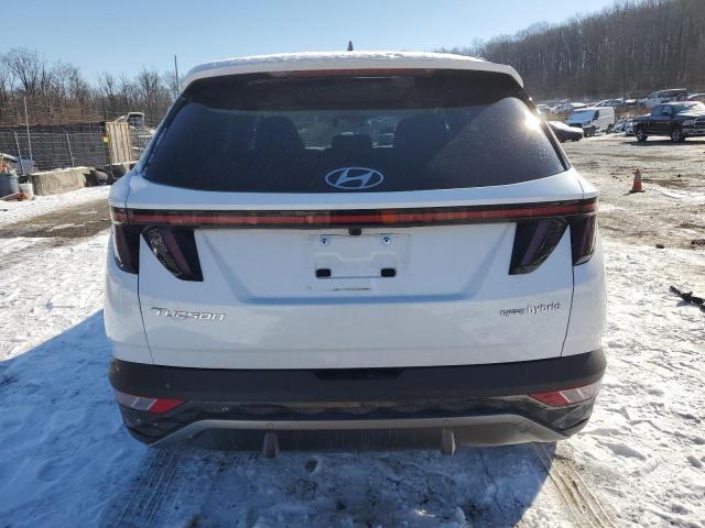  HYUNDAI TUCSON 2024 Белы