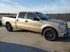 2013 Ford F150 Supercrew للبيع في Orlando، FL - Rear End