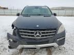 2014 Mercedes-Benz Ml 350 4Matic იყიდება Bismarck-ში, ND - Front End