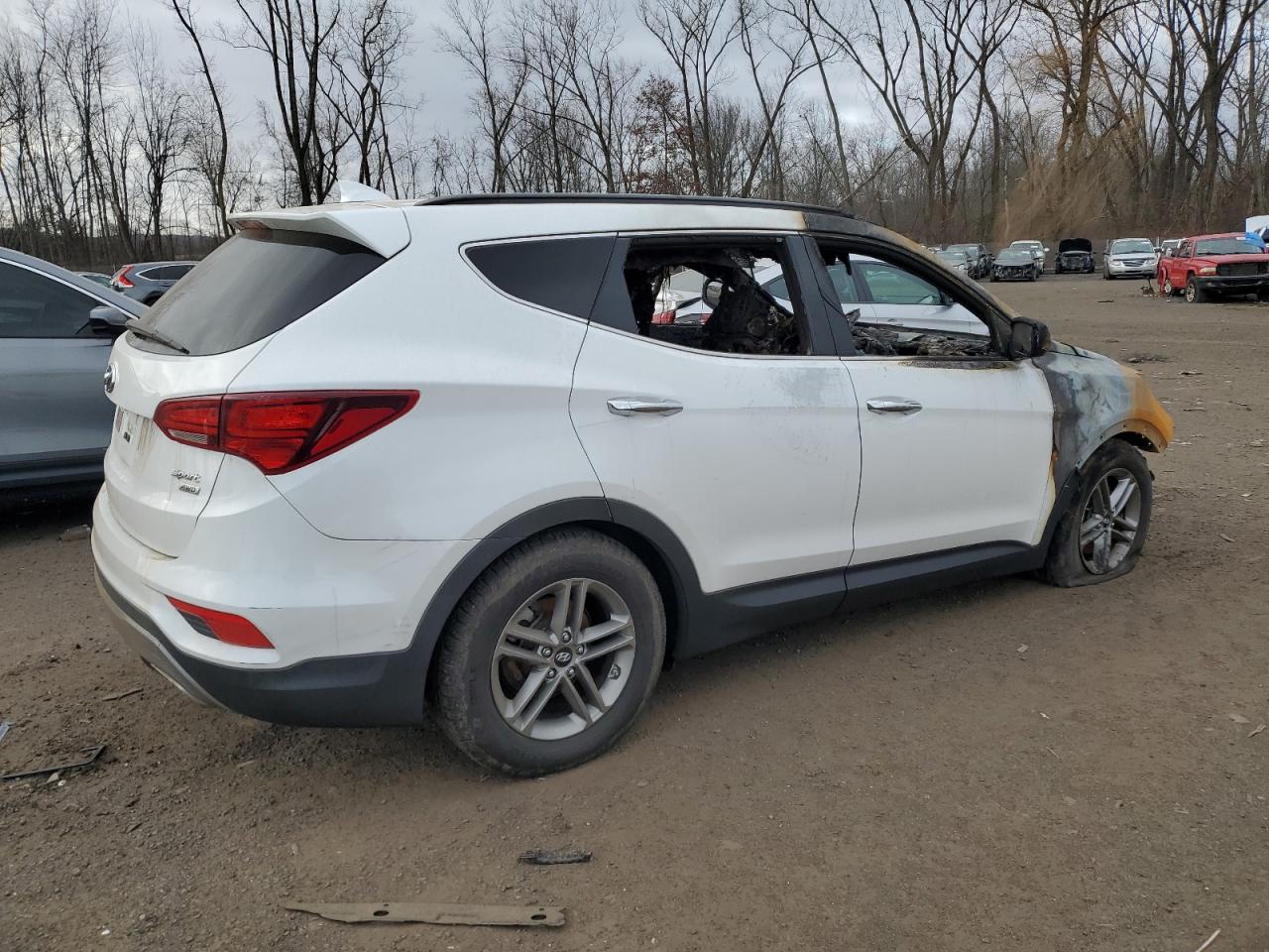 VIN 5XYZUDLB5HG397436 2017 HYUNDAI SANTA FE no.3