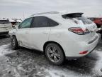 2013 Lexus Rx 350 Base للبيع في Denver، CO - Side