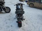 2023 Bmw R 1250 Rs   იყიდება Elgin-ში, IL - Side