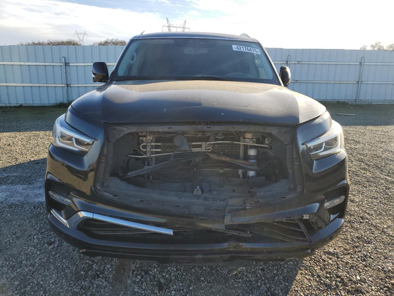 Infiniti QX80 LUXE 2019 фото - 5 Infiniti QX80 LUXE 2019