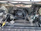 2020 Freightliner Chassis M Line Walk-In Van for Sale in Mebane, NC - Rear End