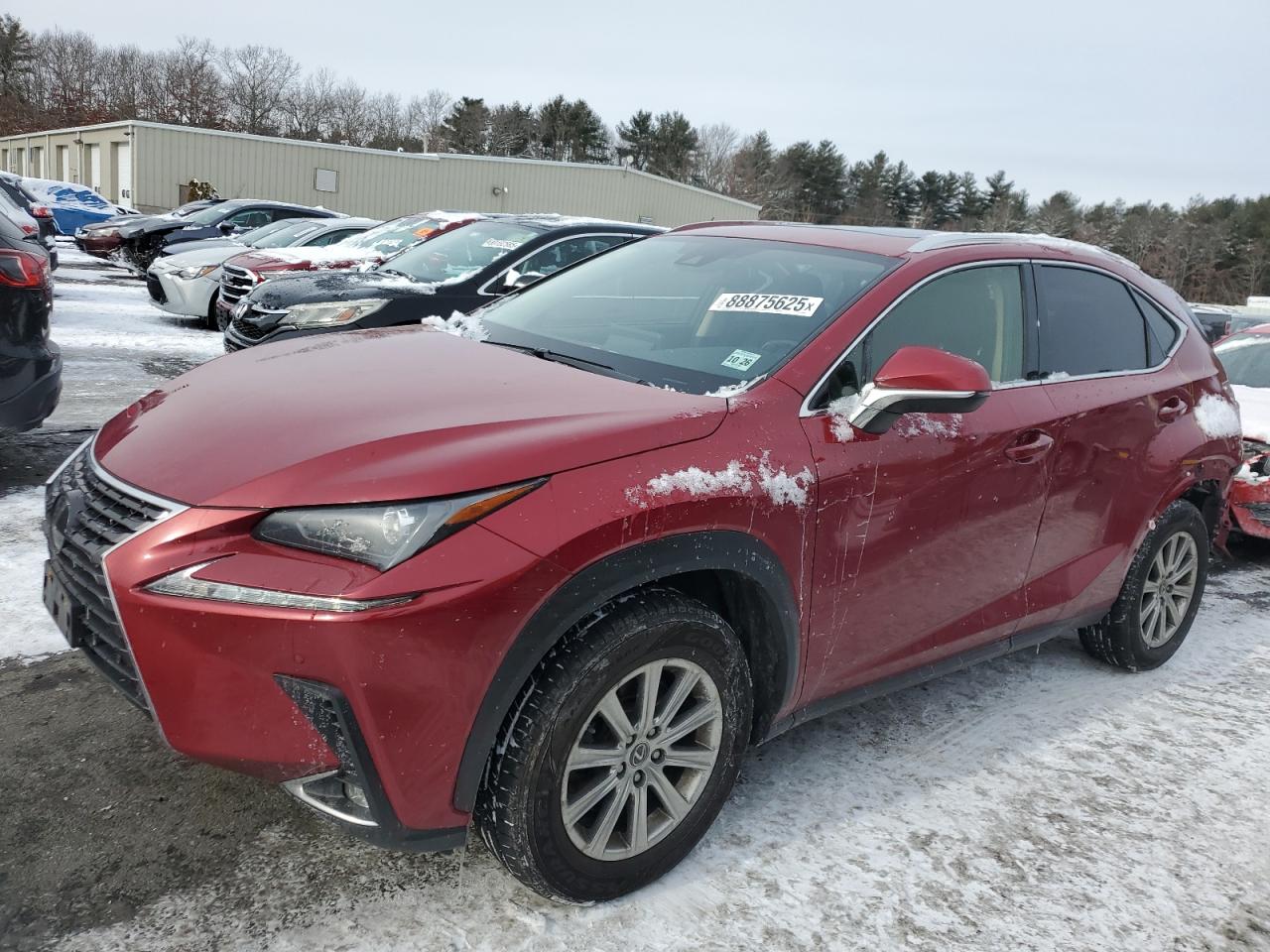 2021 Lexus NX - Image 1