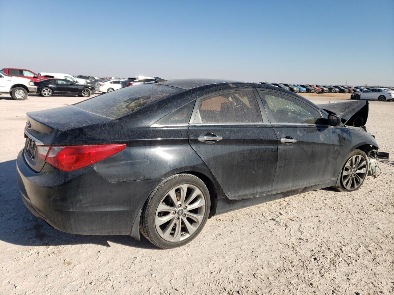 2013 Hyundai Sonata - Image 3