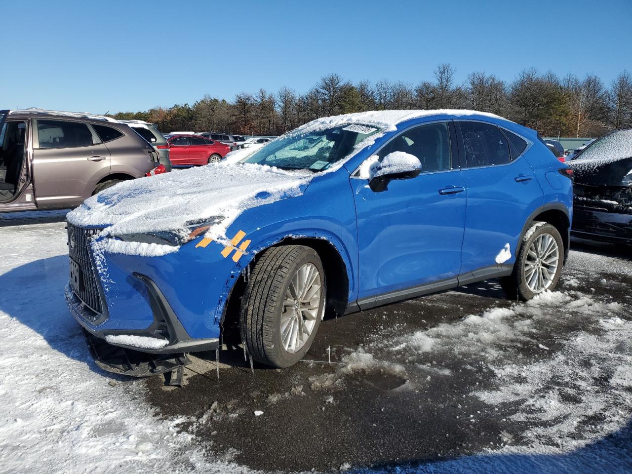 2024 Lexus NX - Image 1