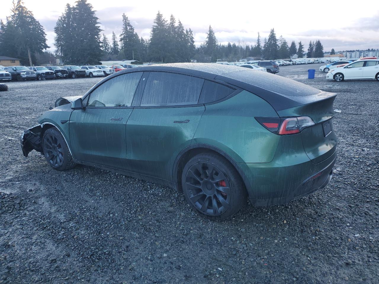 VIN 5YJYGDEE9LF056194 2020 TESLA MODEL Y no.2