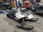 2019 SKI DOO BACKCOUNTR for sale at Copart QC - MONTREAL